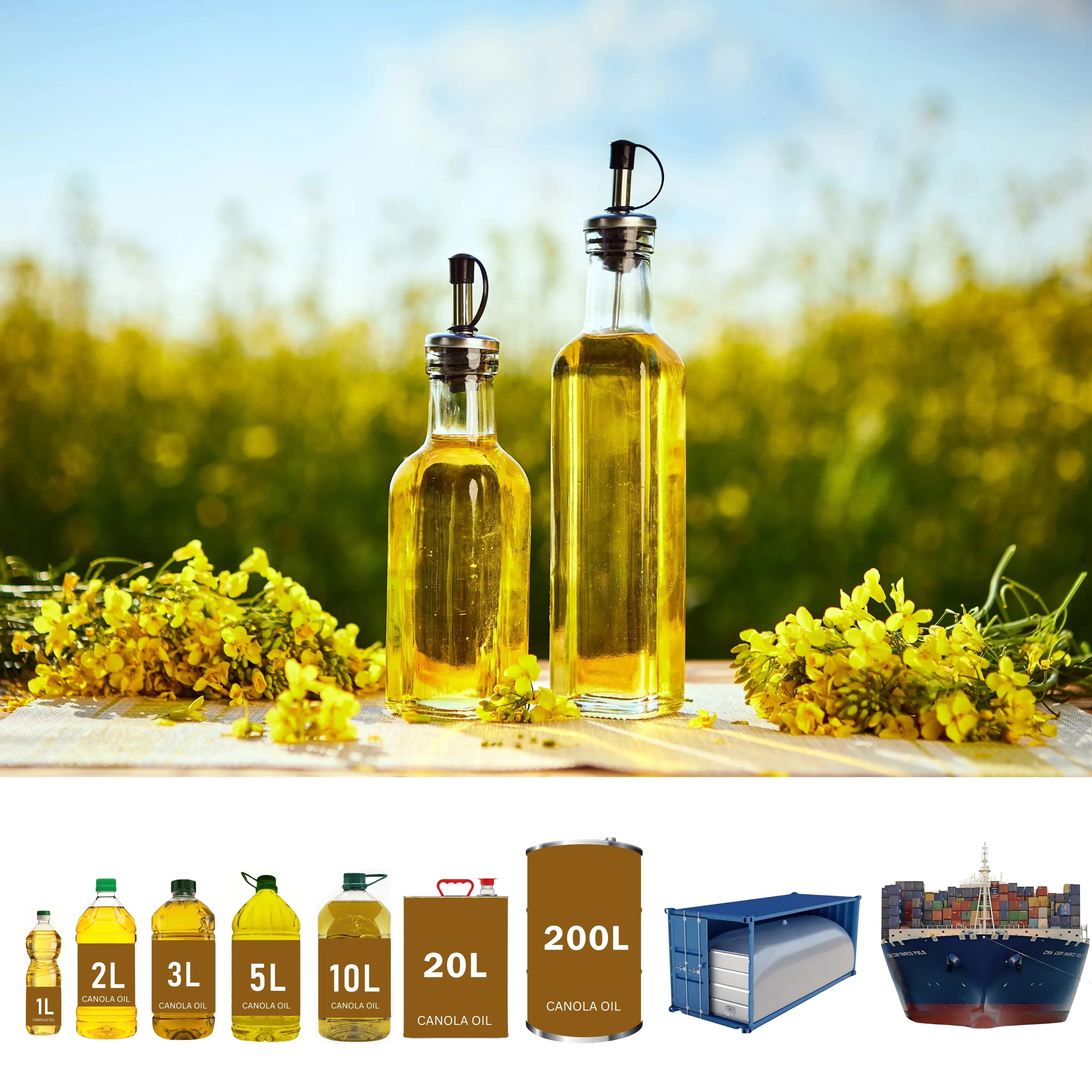 Aceite de canola