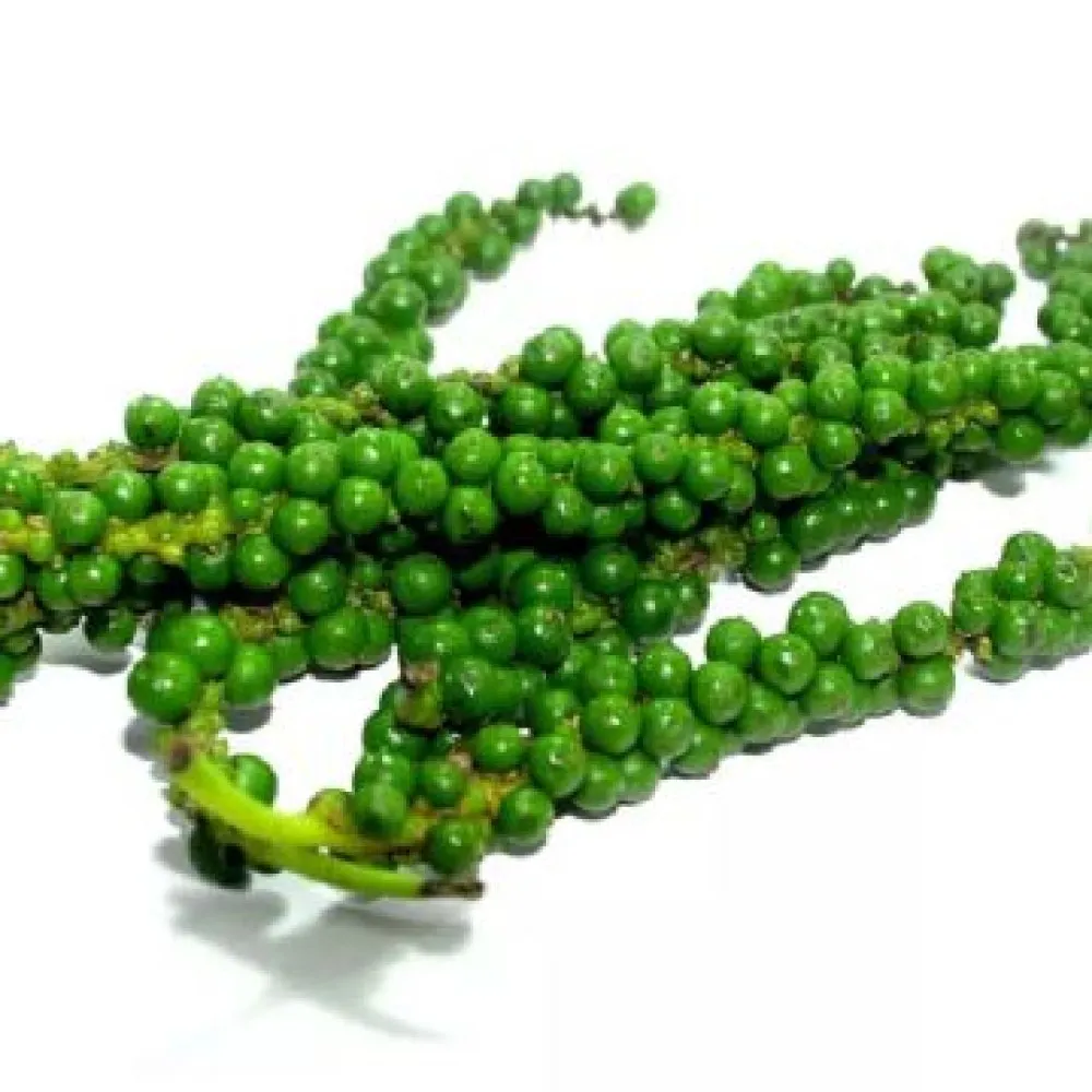  Green Pepper