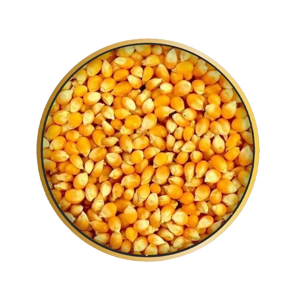 NON-GMO Yellow Corn