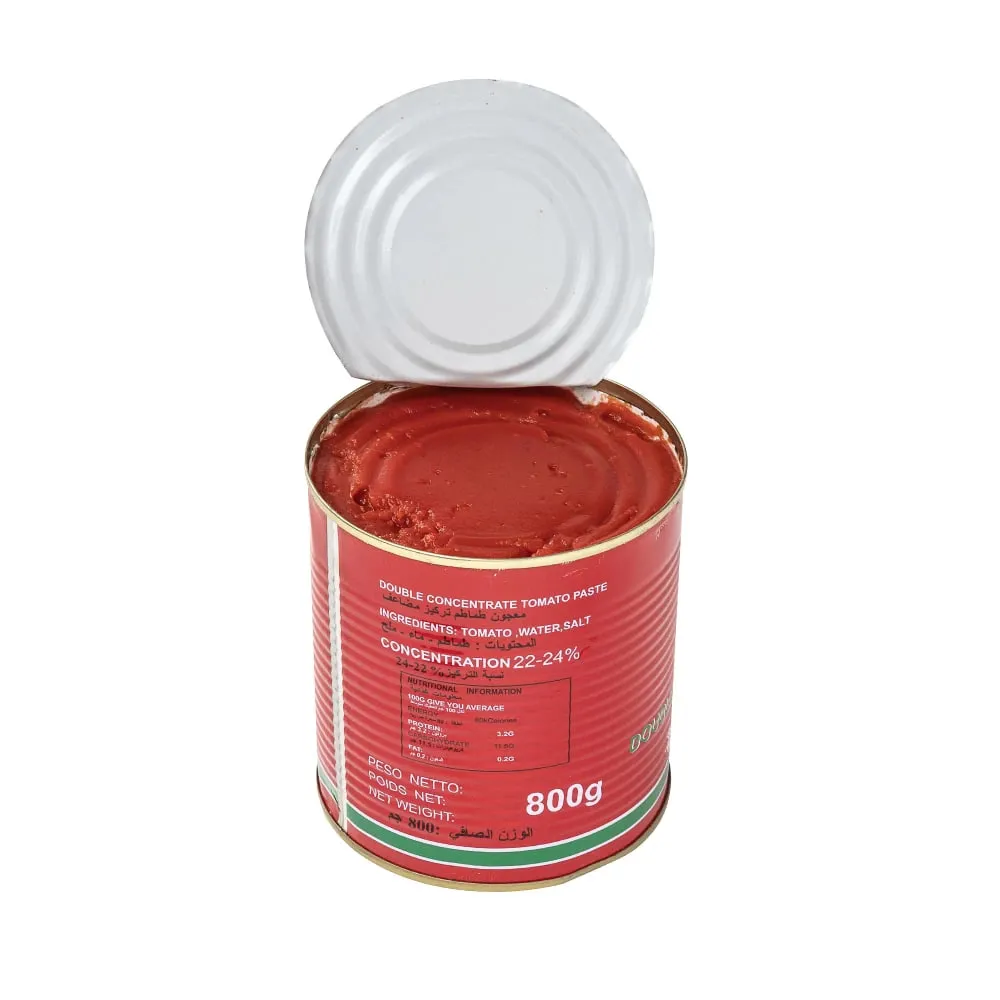Ketchup en Boîte