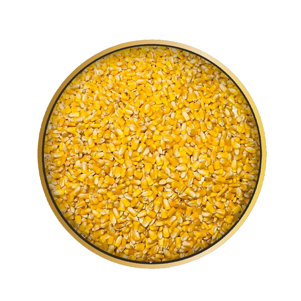 Maíz Amarillo – Alimentación Animal